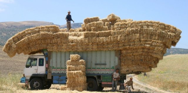 transport biomasse