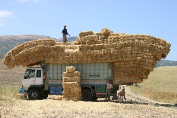 transport biomasse