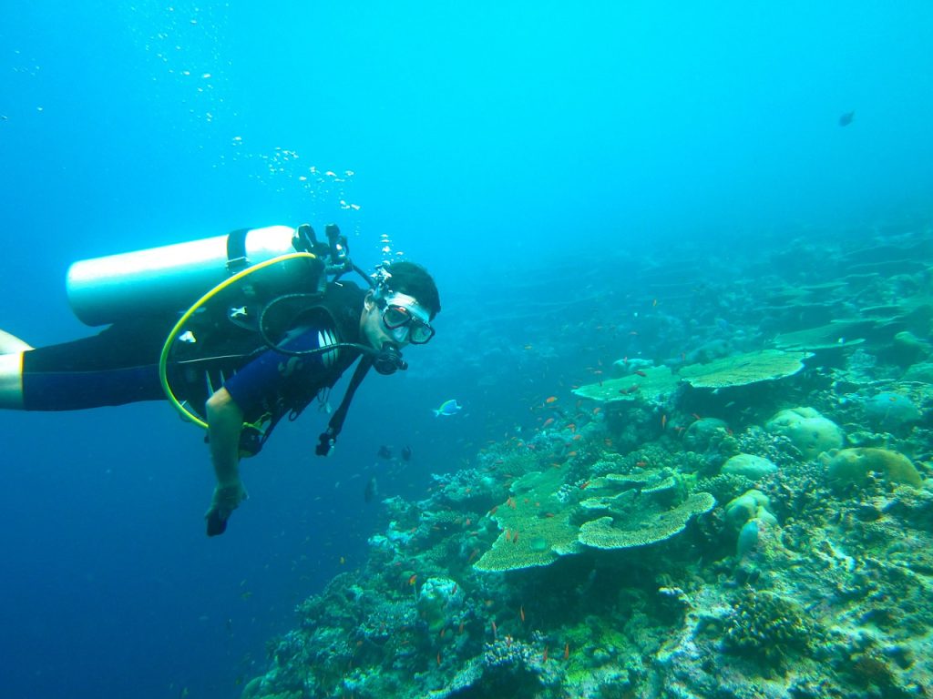 Les équipements de plongée sous-marine