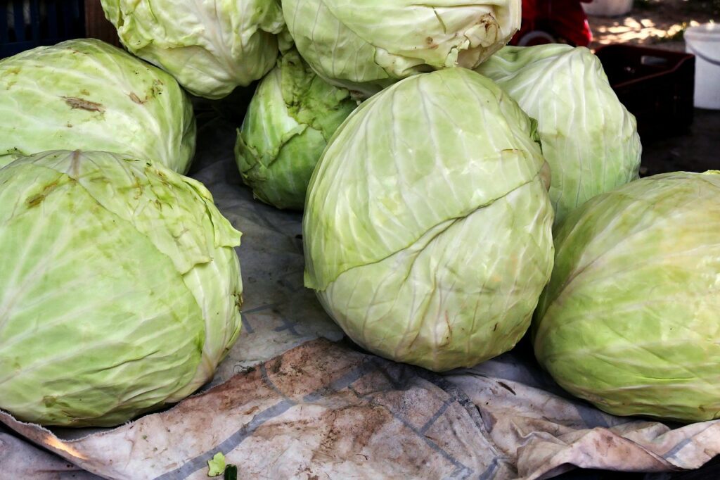 découvrez les bienfaits des légumes locaux : savoureux, frais et cultivés près de chez vous. explorez les variétés de saison et apprenez à les intégrer dans vos recettes culinaires pour une alimentation saine et respectueuse de l'environnement.