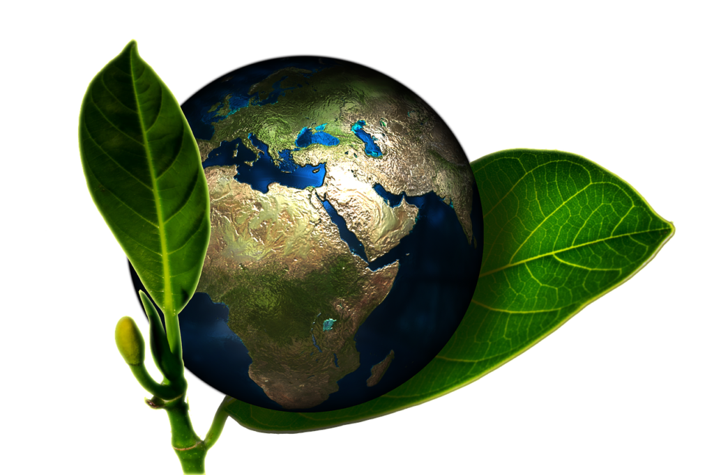 découvrez les droits environnementaux, une discipline essentielle qui vise à protéger notre planète tout en garantissant des droits fondamentaux aux individus. explorez les enjeux, les législations et les mouvements qui promeuvent la justice écologique pour un avenir durable.