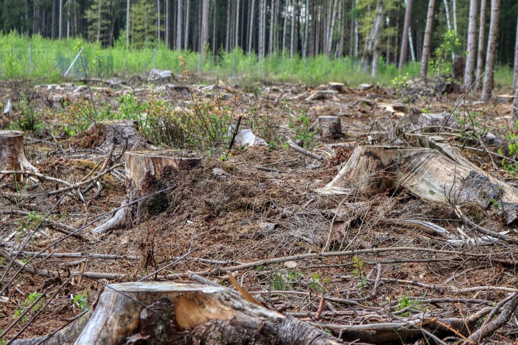 analyse de la trajectoire d'abattage des arbres pour garantir sécurité et précision lors des opérations forestières.